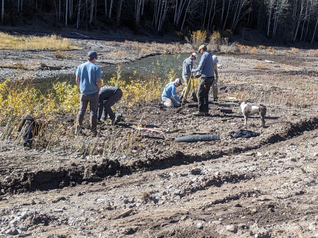 Valley Floor tree planting